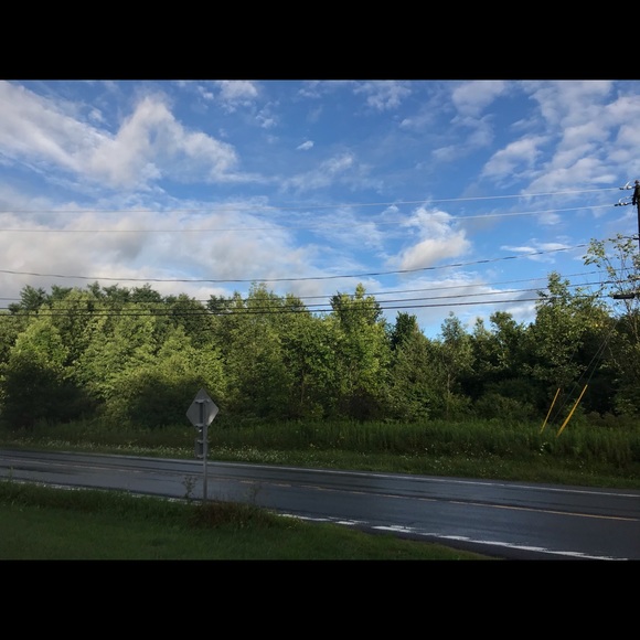 Meet your Posher, Hali - Picture 1 of 1